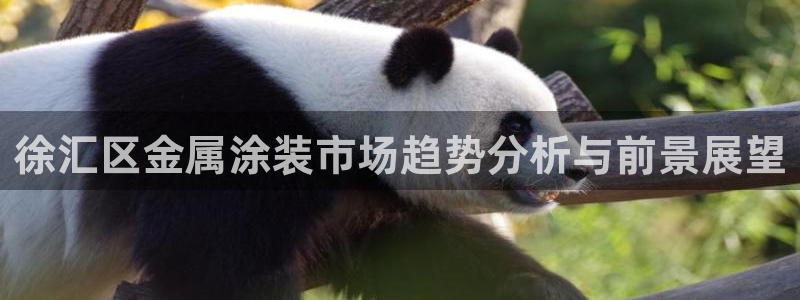 美高梅酒店附近美食