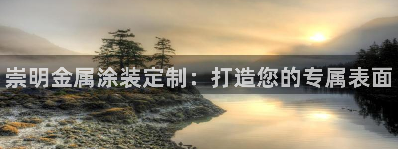 美高梅酒店是谁的