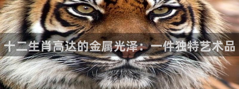 美高梅股票涨了多少