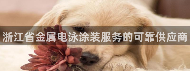 美高梅大酒店招聘信息最新