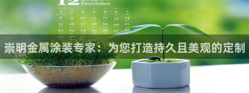 美高梅游戏攻略