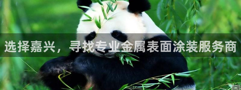 美高梅官网买票