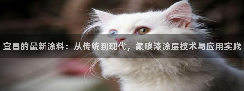 美高梅酒店拖鞋