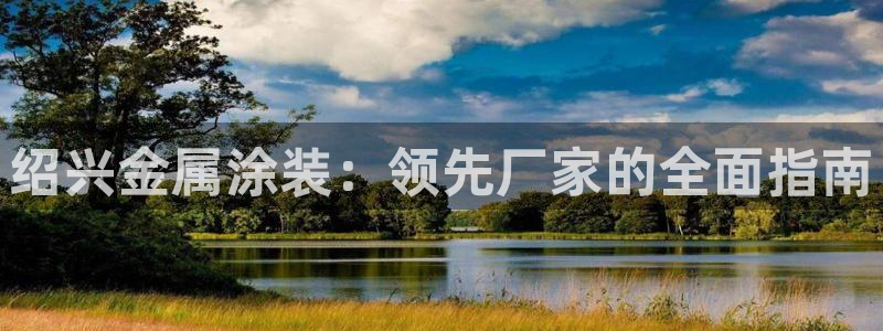 美高梅中国股票