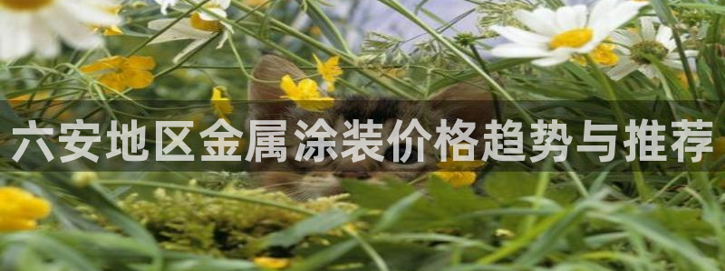 美高梅为什么是35层：六安地区金属涂装价